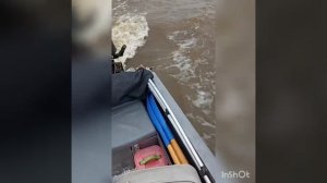 испытания запасного мотора Волжанка 46 Фиш 9.9-15.mp4
