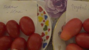 А различие между черри и  коктейльными томатами имеется.