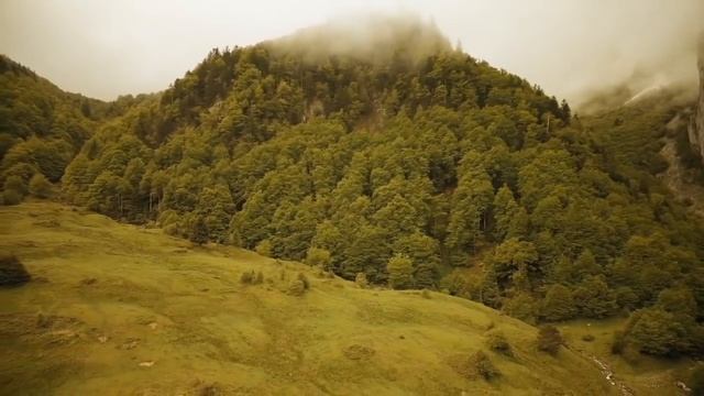 Митр. Нектарий (Антонопулос). Жизнеописание иером. Симона (Безкровного) смотреть онлайн