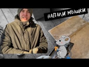 МЫШКИ НАПАЛИ НА ПЧЕЛ/ЧТО ДЕЛАЮТ ПЧЕЛЫ ЗИМОЙ/100 % ВАРИАНТ ЛОВЛИ МЫШЕЙ