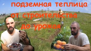 Подземная теплица От строительства до фруктов