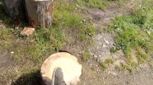 Валежник/ЛЭП/Готовим дрова к зиме