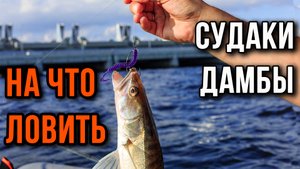 Судаки дамбы, на что ловить