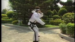 Jung SuWon - Tae Kwon Do Kick form