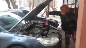 Крысы или мыши в машине под капотом