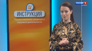Инструкция: предоставление сведений о трудовой деятельности