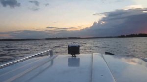 FishRoad 530 HT Profi + Suzuki BF20 ARL