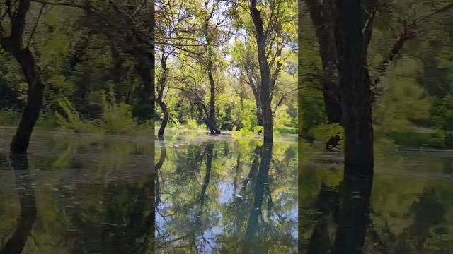 ЗАТОПЛЕННЫЕ Беляевские карьеры