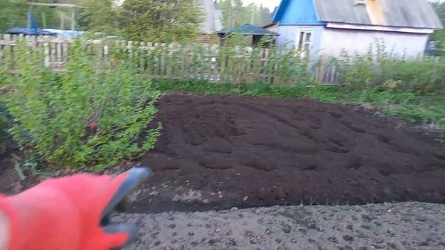 Как пахать мотоблоком фрезами,на малых участках,легко?MILLING.PLANTING POTATOES.