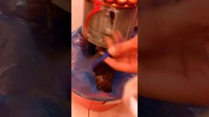 Пылесос Dyson DC 52 Allergy