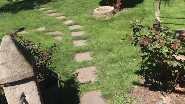 Прогулянка по саду. 10 травня 2022. смотреть онлайн