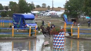 Roman ELEND (AUT) FEI CH-M-A Ponies, P2, Ászár-Kisbér (HUN), marathon, obst. Nr. 6, 28.09.2019