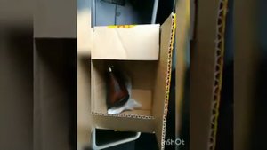 Мерседес W124. Замена рукоятки АКПП.