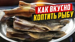 Как вкусно коптить рыбу. Полный обзор холодного копчения и устройство коптильни.