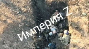 Хроники контрнаступа. Разбитые позиции ВСУ под Вербовым усеянные трупами украинских солдат.