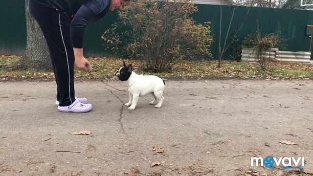 Минивань, 4 месяца смотреть онлайн