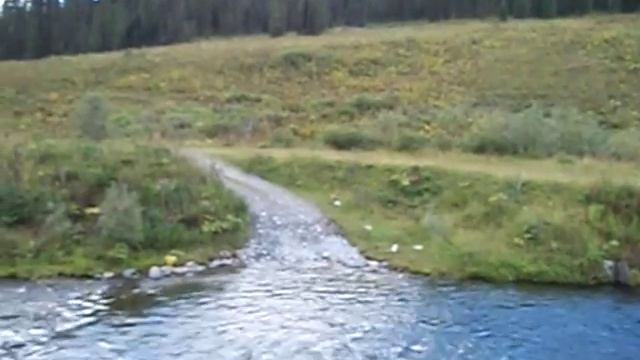 Ligerad смотреть онлайн