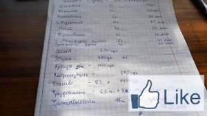 Затраты и доход на выращивании Кукурузы! Бизнес в селе на кукурузе!