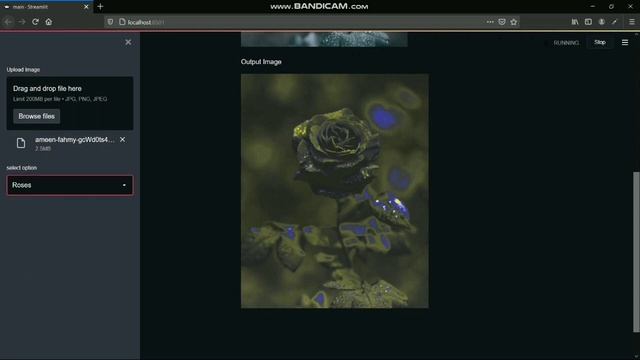 Image filter app || Mini project ||OpenCV || python || Streamlit