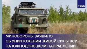 Минобороны заявило об уничтожении живой силы ВСУ на южнодонецком направлении