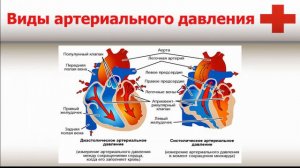 Школа артериальной гипертонии. Часть 1. Что такое артериальное давление...?