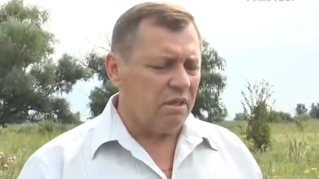 В Самарской области нашли очаг опасного растения-аллергена