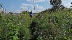 ВЛОГ ПРИЕХАЛИ на дачу/ЕДИМ МАЛИНУ