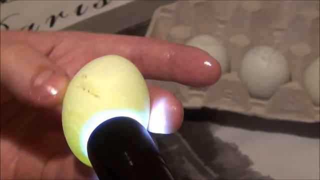 Что было внутри инк.яица из Красноярска смотреть онлайн