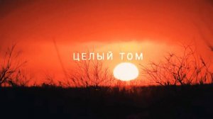 Saga-Уютный дом (Кавер)