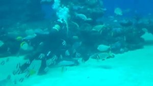 Океанариум в Израиле!!! Часть 1!