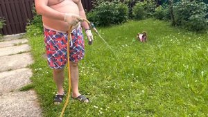 На даче, была полянка с цветочками, а стала… Кошу газон из маргариток