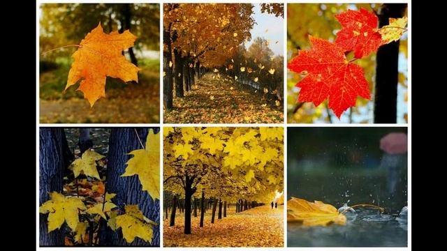 Кленовый лист над переулком кружит Г Хомчик и хор бардов смотреть онлайн