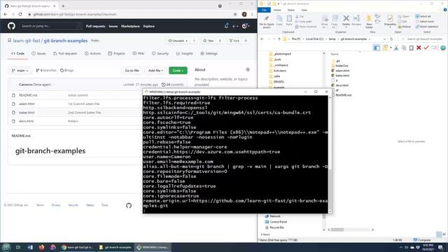 Exit the Git BASH Console & Editor with :Q