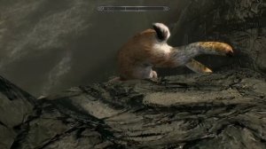 Skyrim Giant Bunny