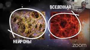 Лекция №9 по книге Клизовского Основы миропонимания Новой Эпохи. Гл. 4, ч.1 О единстве всего сущего