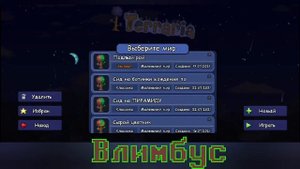 Seed on the pyramid in Terraria 1.4 for Android