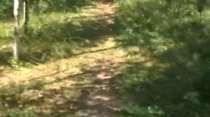 Турбаза  Чайка  озеро Волго на Селигере, Нилова пустынь