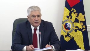 В.А. Колокольцев сообщил о передаче в суд уголовного дела о контрабанде леса на 1,2 млрд рублей