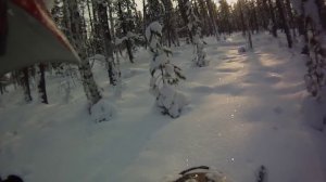 Снегоход lynx Yeti pro 550 в лесу