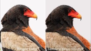 Doogee V Max VS Samsung Galaxy S23 plus camera test