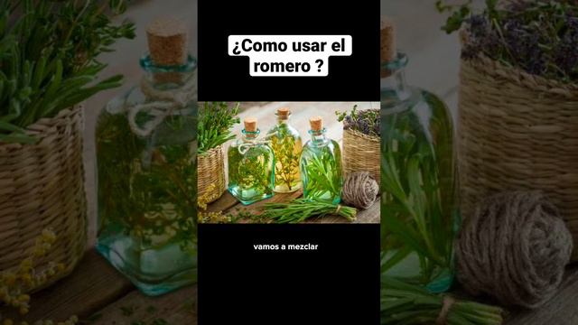 ¿Como preparar y usar el romero ? #aceitederomero #herbolaria #medicinanatural #romero