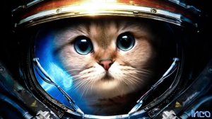 КРУТАЯ МУЗЫКА БЕЗ АВТОРСКИХ ПРАВ ДЛЯ СТРИМА   NCS MIX 2021