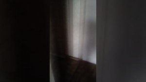 Вызов духов вызов Лунтика
