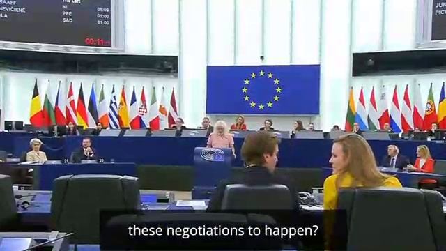 Депутат Европарламент: Зеленский ходит по Европе и продолжает просить оружие, но ни слова про мир