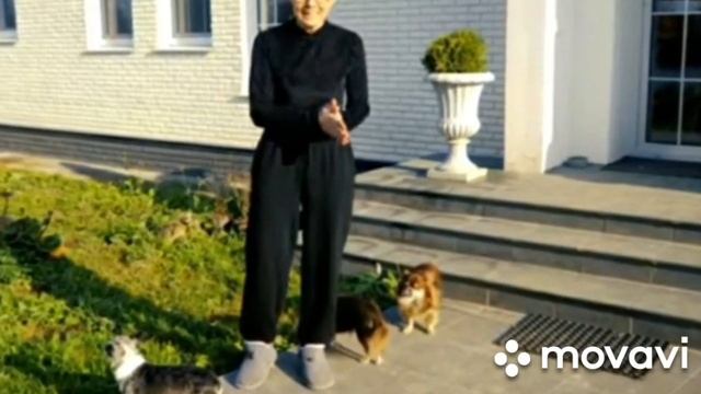 Magic House! Построили бассейн! Что сняла скрытая камера??(фан Ани Меджик) смотреть онлайн