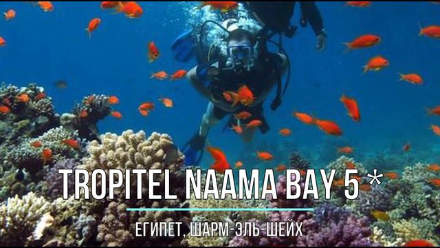 Отель Tropitel Naama Bay 5 * — Египет, Шарм-эль-Шейх