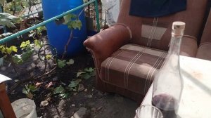 Обзор молодого вина с моего участка Винограда Пятно-нуара клон 115
