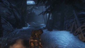 Rise of the Tomb Raider как убить медведя на раз,два,три