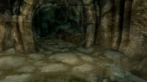 The Elder Scrolls V: Skyrim. Добыть кровь лесного эльфа. Прохождение от SAFa