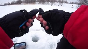 Игра раттлинов на Судака и Щуку. Рыбалка зимой со льда в 2022